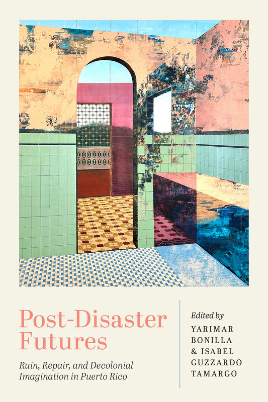 Post-Disaster Futures