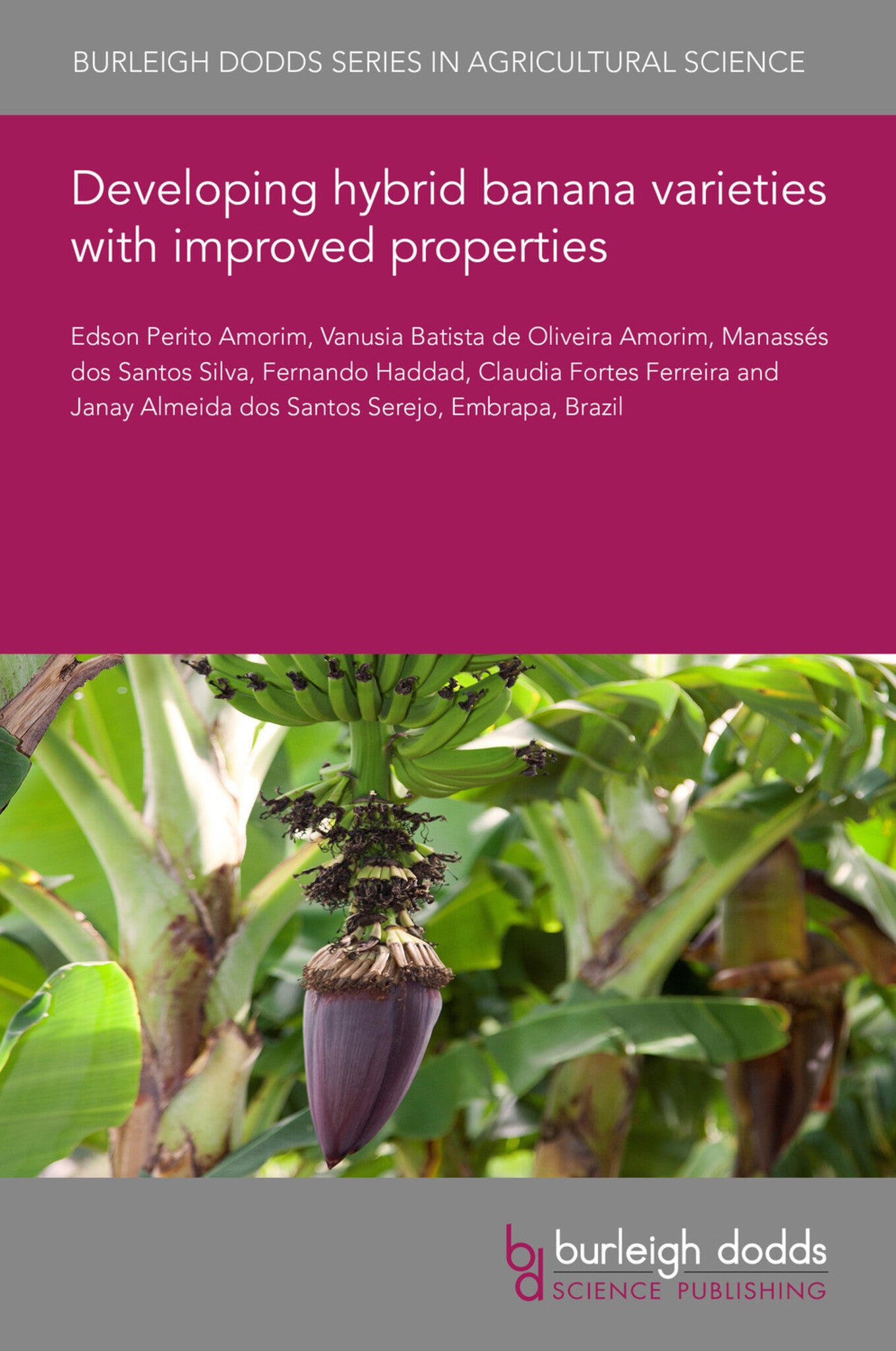 Cover image for Developing hybrid banana varieties with improved properties ISBN 9781786769480