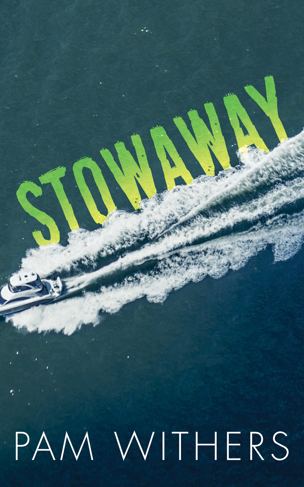 Cover image for Stowaway ISBN 9781459741911