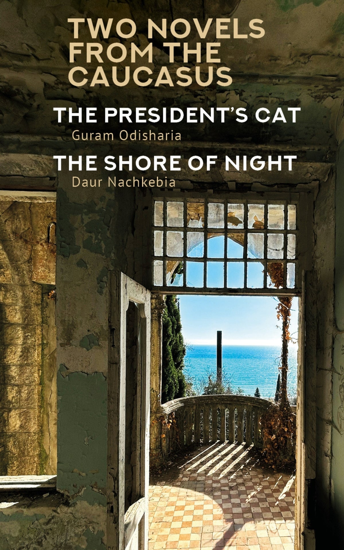 Cover image for Two Novels from the Caucasus ISBN 9798887195612