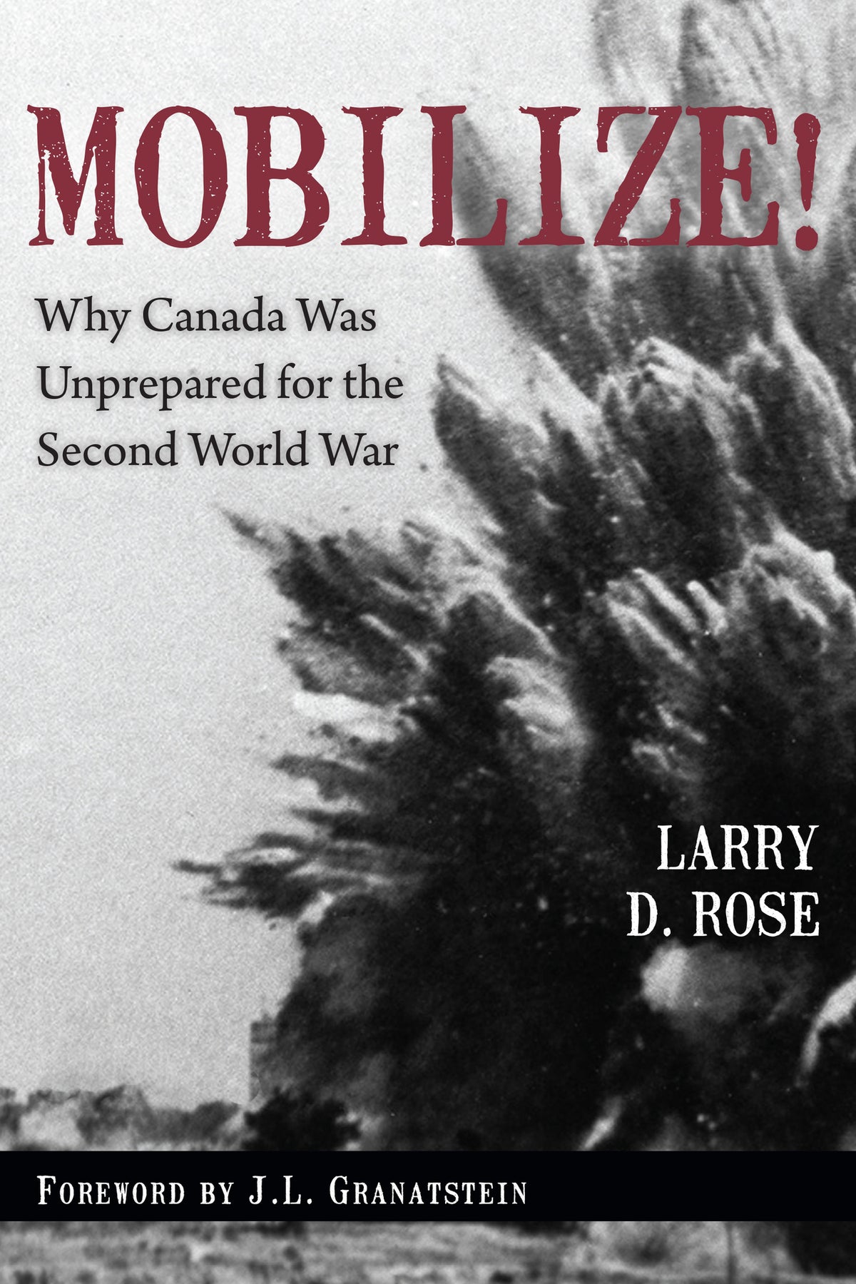 Cover image for Mobilize! ISBN 9781459710641