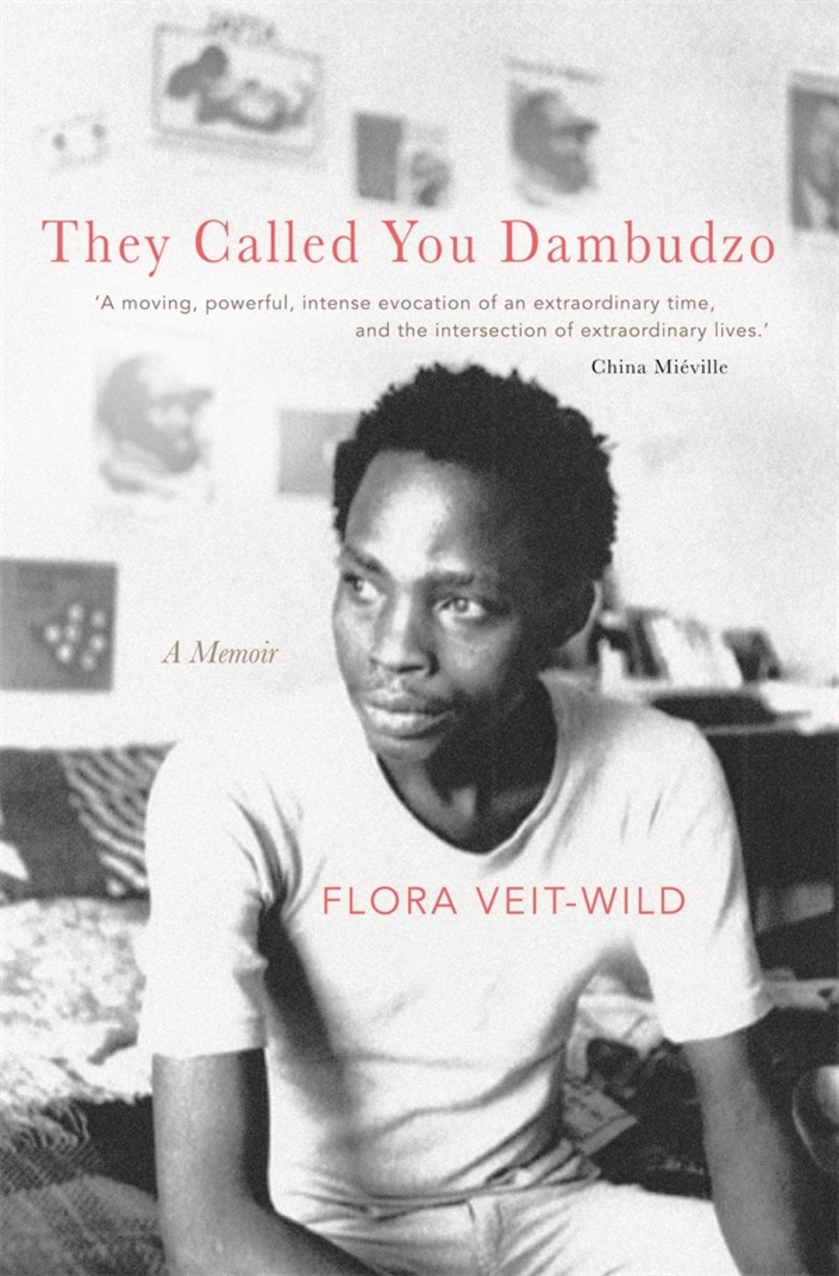 Cover image for They Called You Dambudzo ISBN 9781847013347