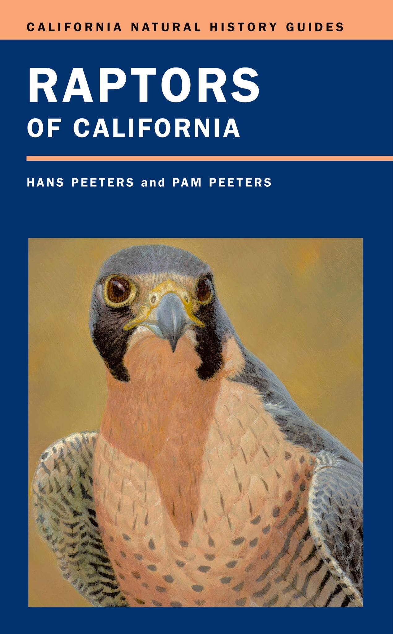 Cover image for Raptors of California ISBN 9780520242005
