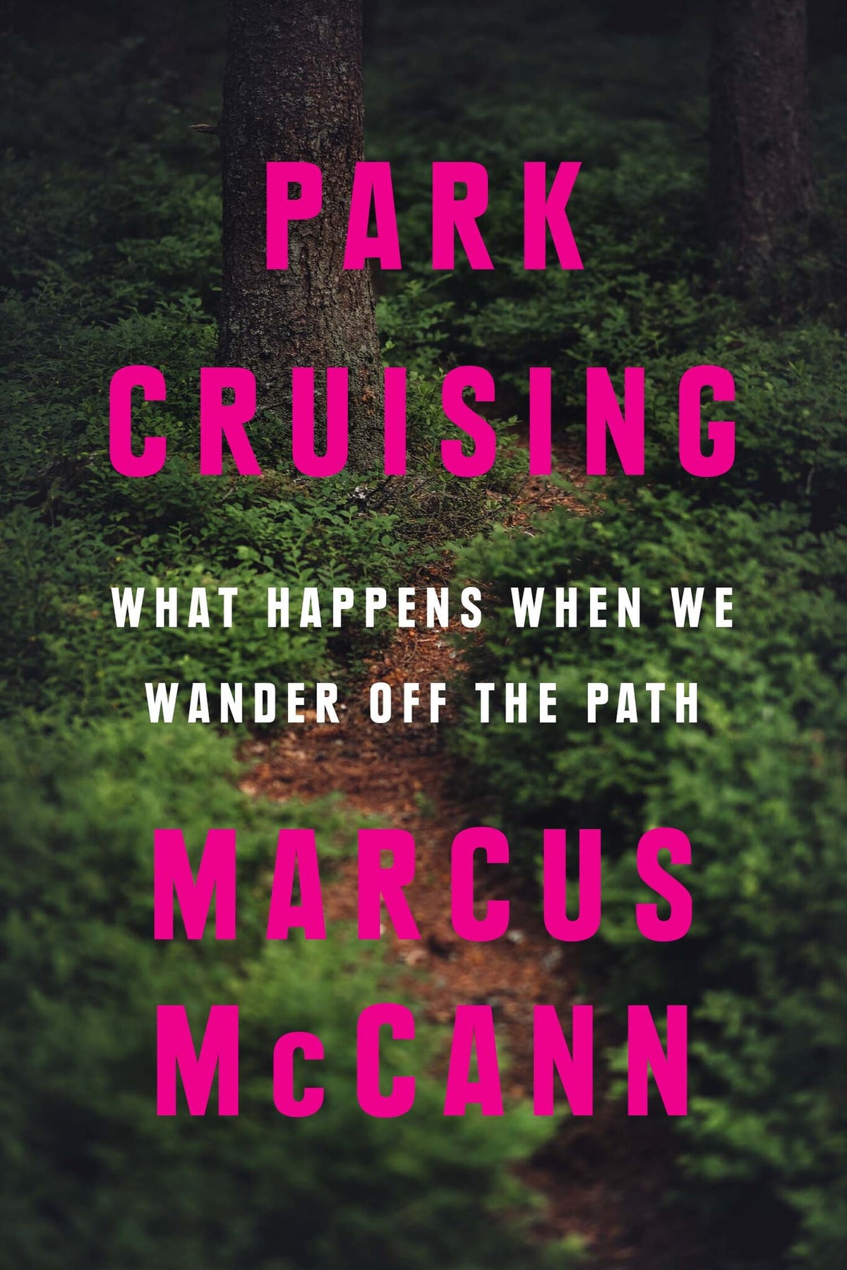 Cover image for Park Cruising ISBN 9781487011789