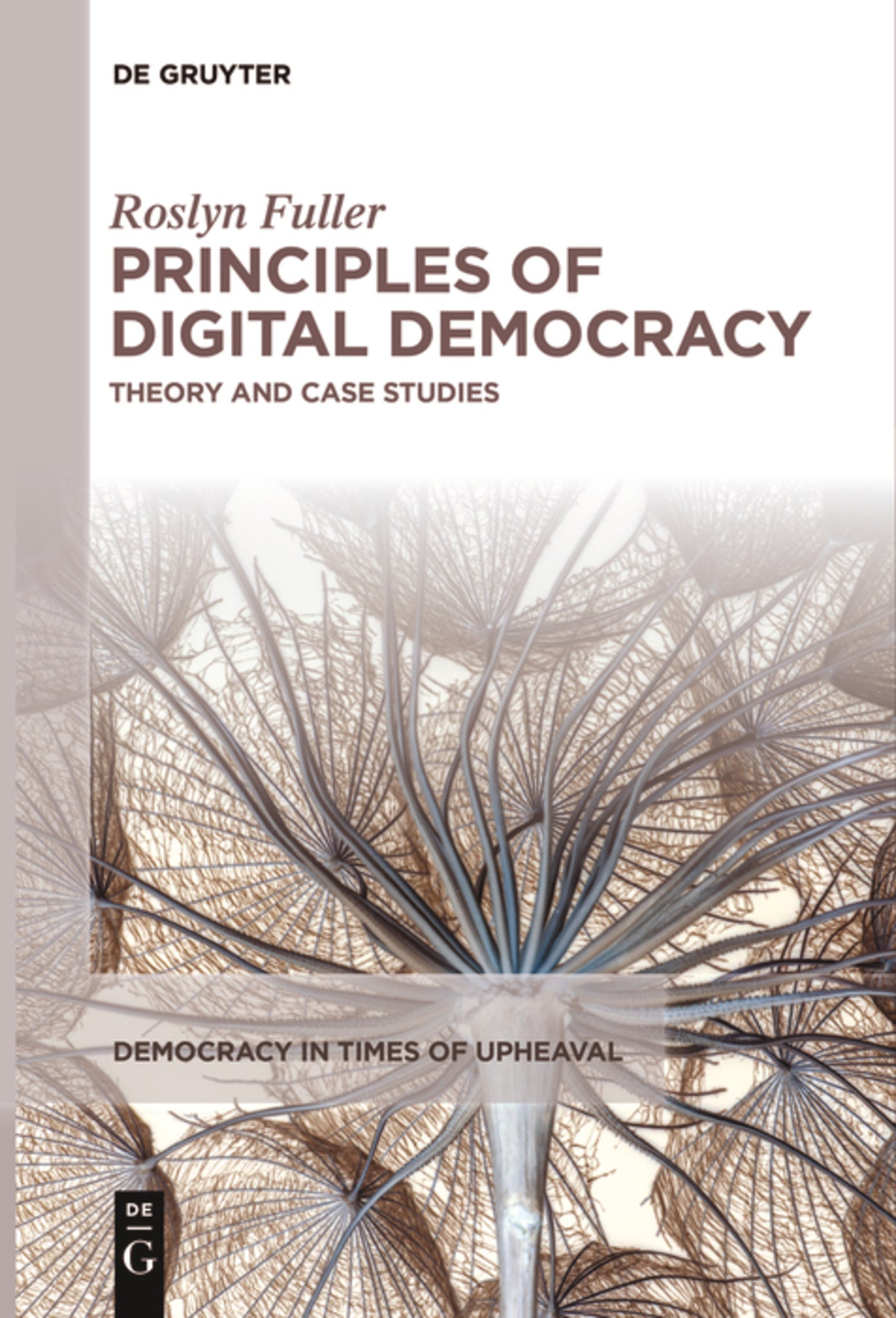 Principles of Digital Democracy