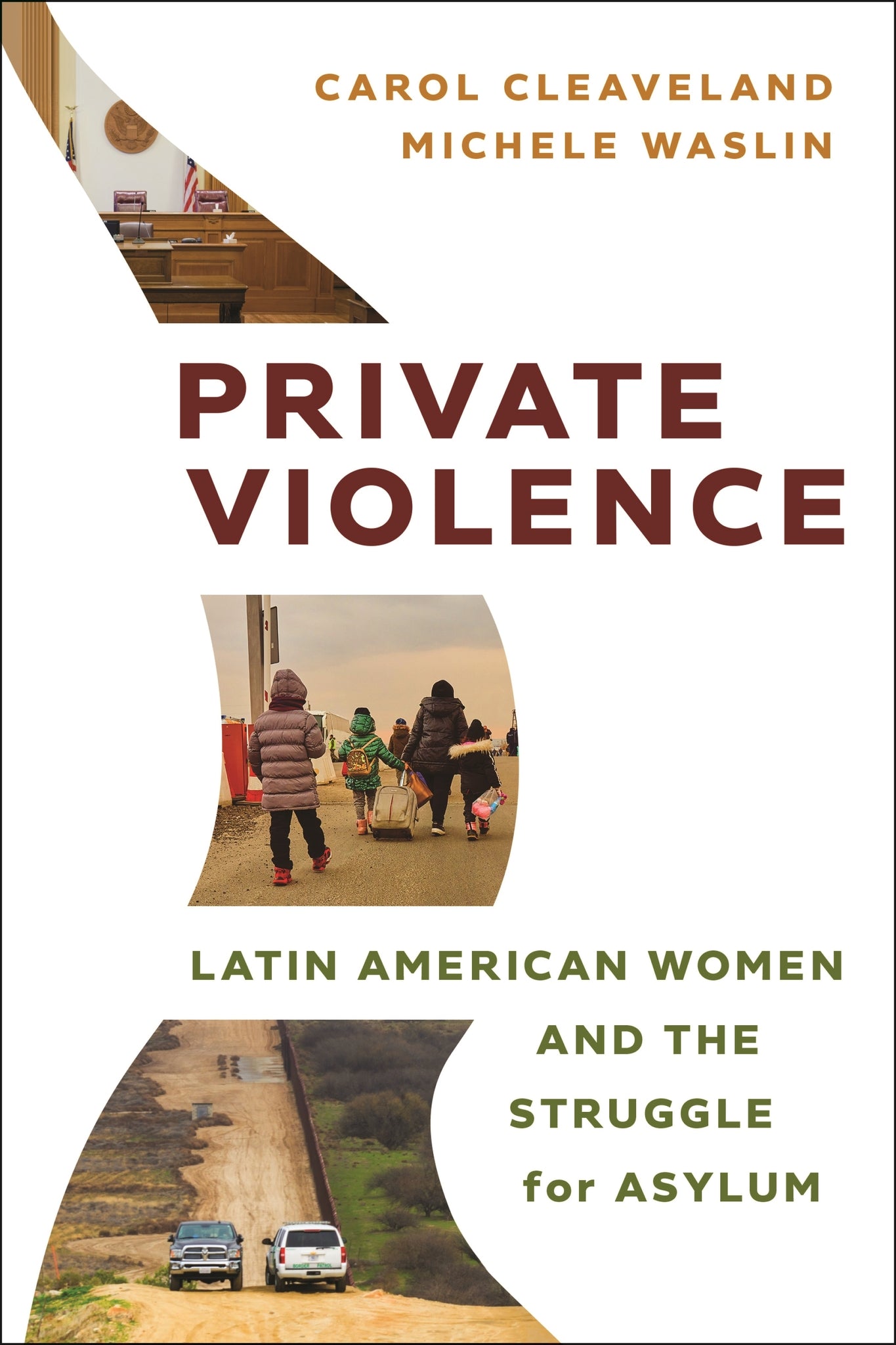Cover image for Private Violence ISBN 9781479824342