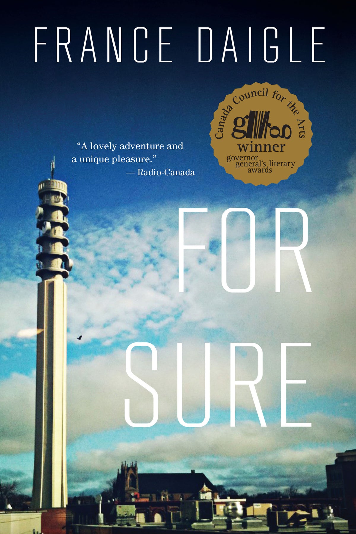 Cover image for For Sure ISBN 9781770892040