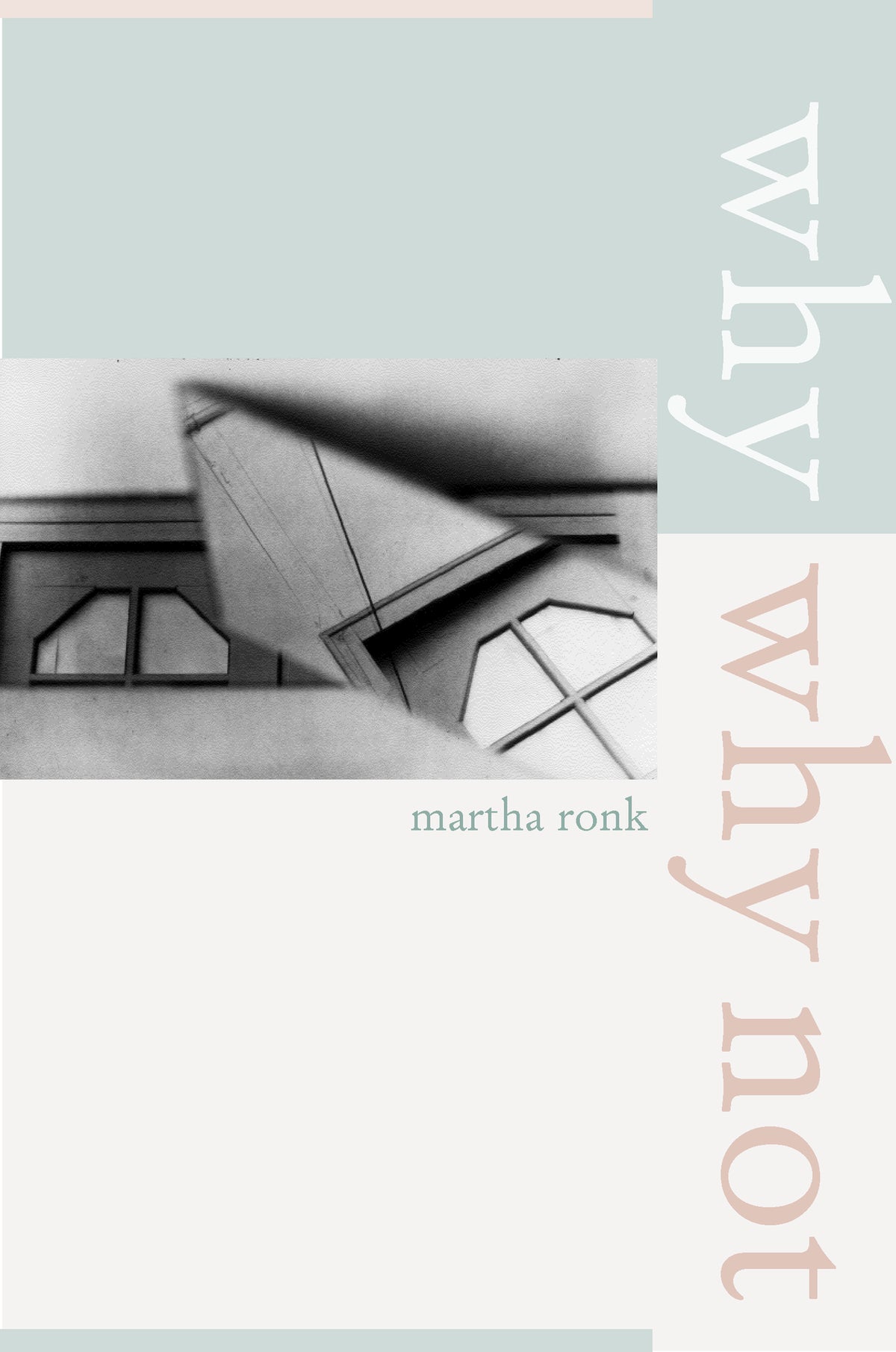 Cover image for Why/Why Not ISBN 9780520238114