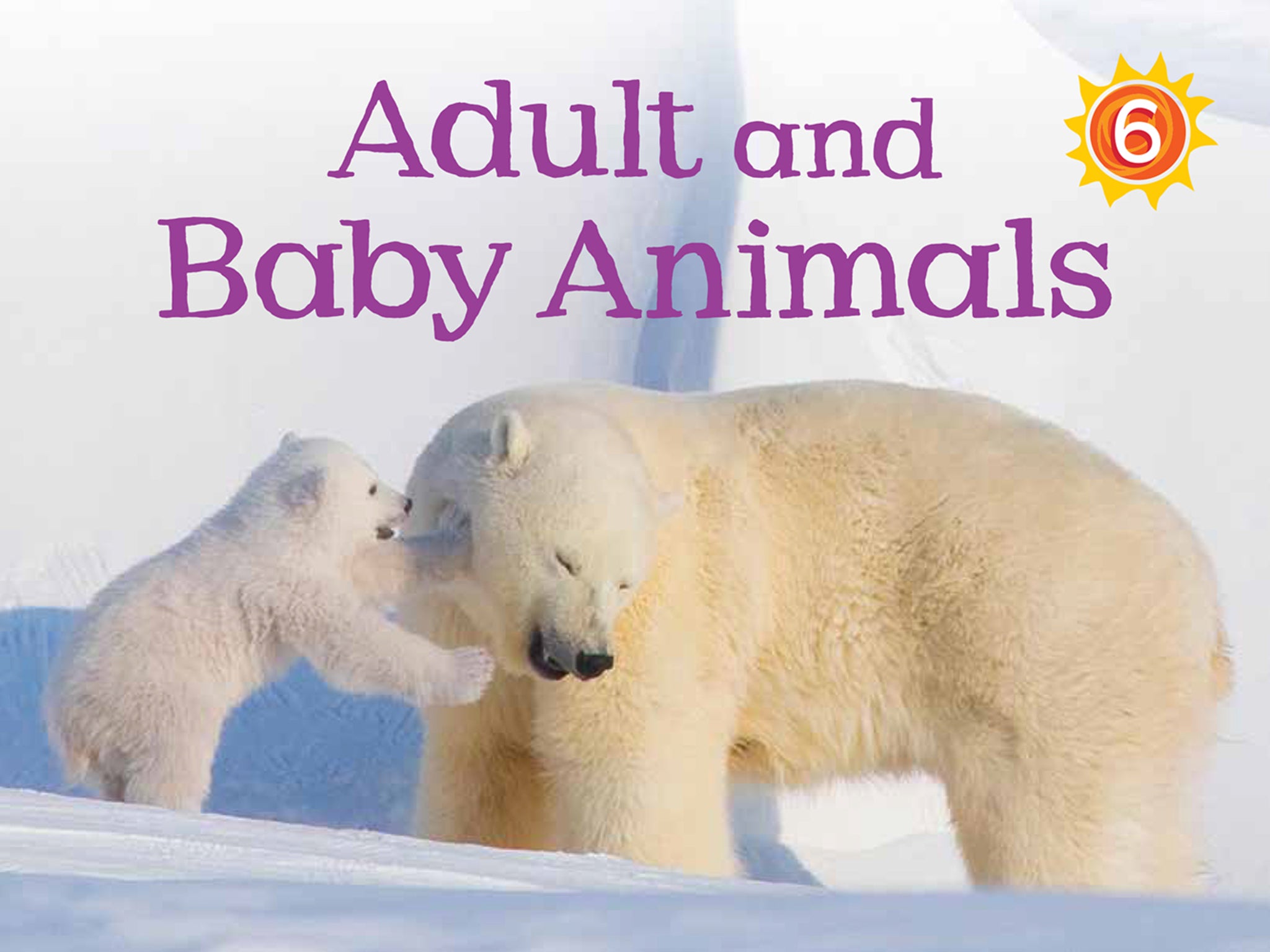 Cover image for Adult and Baby Animals ISBN 9781772660838