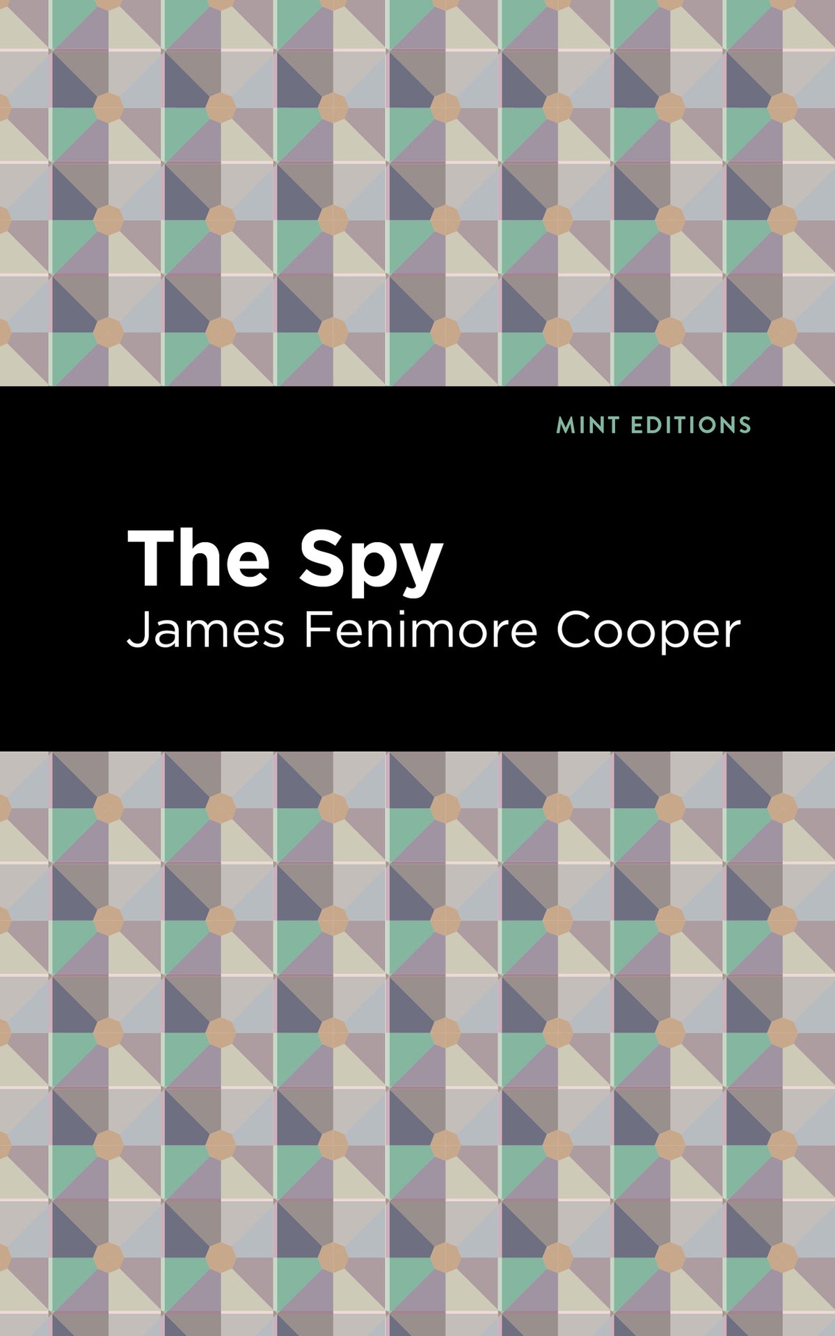 Cover image for The Spy ISBN 9781513269498