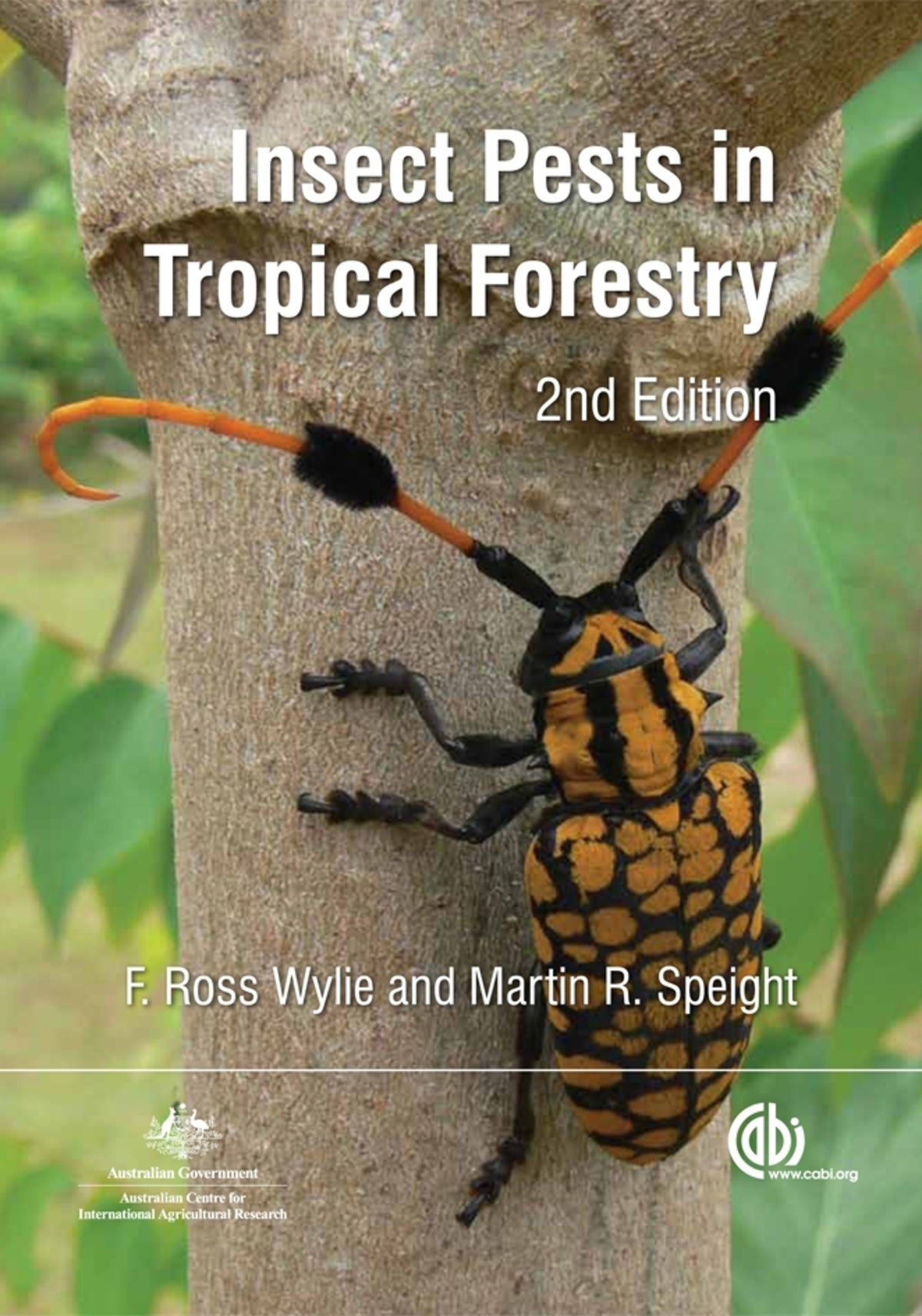 Cover image for Insect Pests in Tropical Forestry ISBN 9781845936365