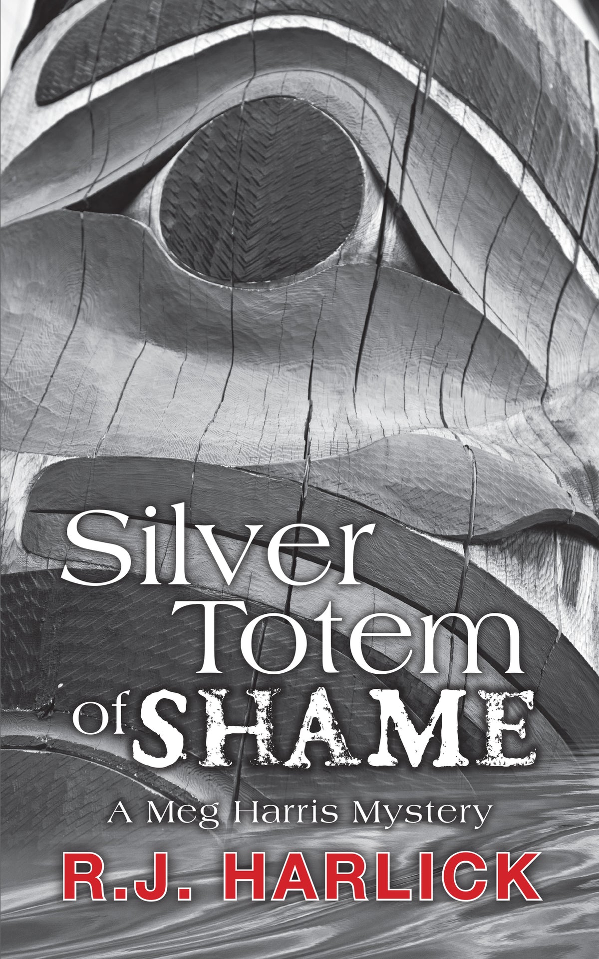 Cover image for Silver Totem of Shame ISBN 9781459721692