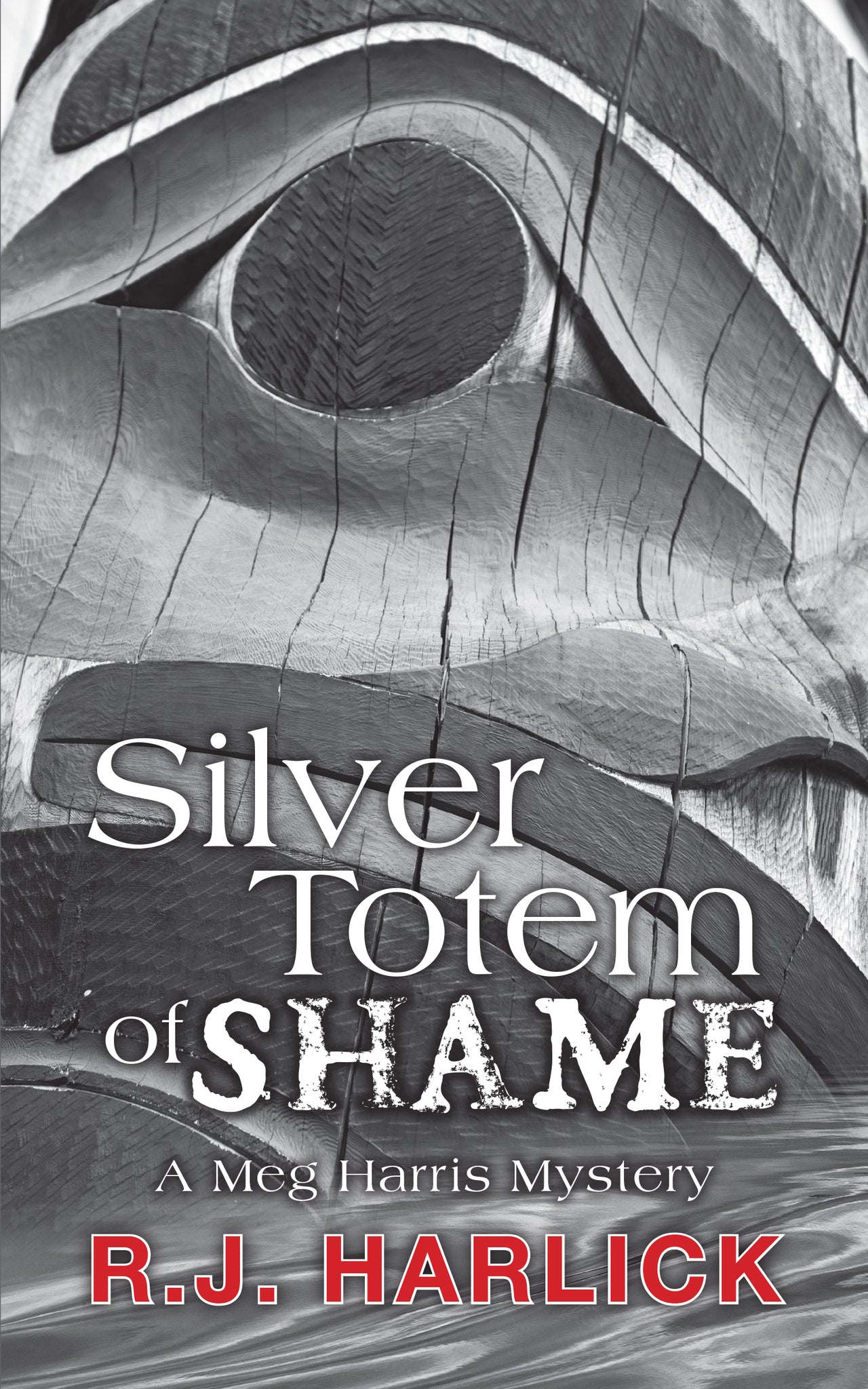 Cover image for Silver Totem of Shame ISBN 9781459721692