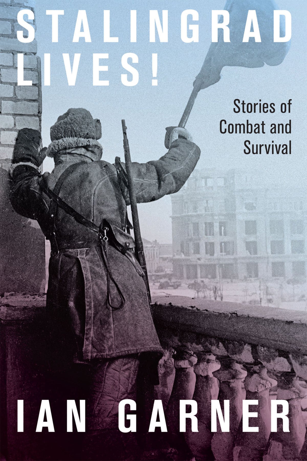 Cover image for Stalingrad Lives ISBN 9780228015178
