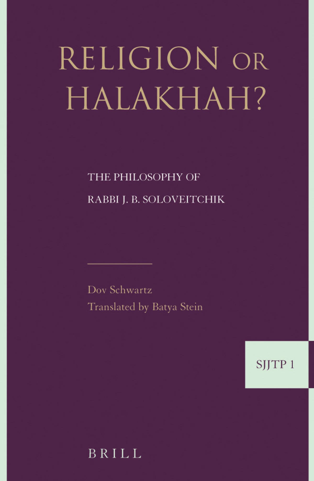 Cover image for Religion or Halakha ISBN 9789004157668