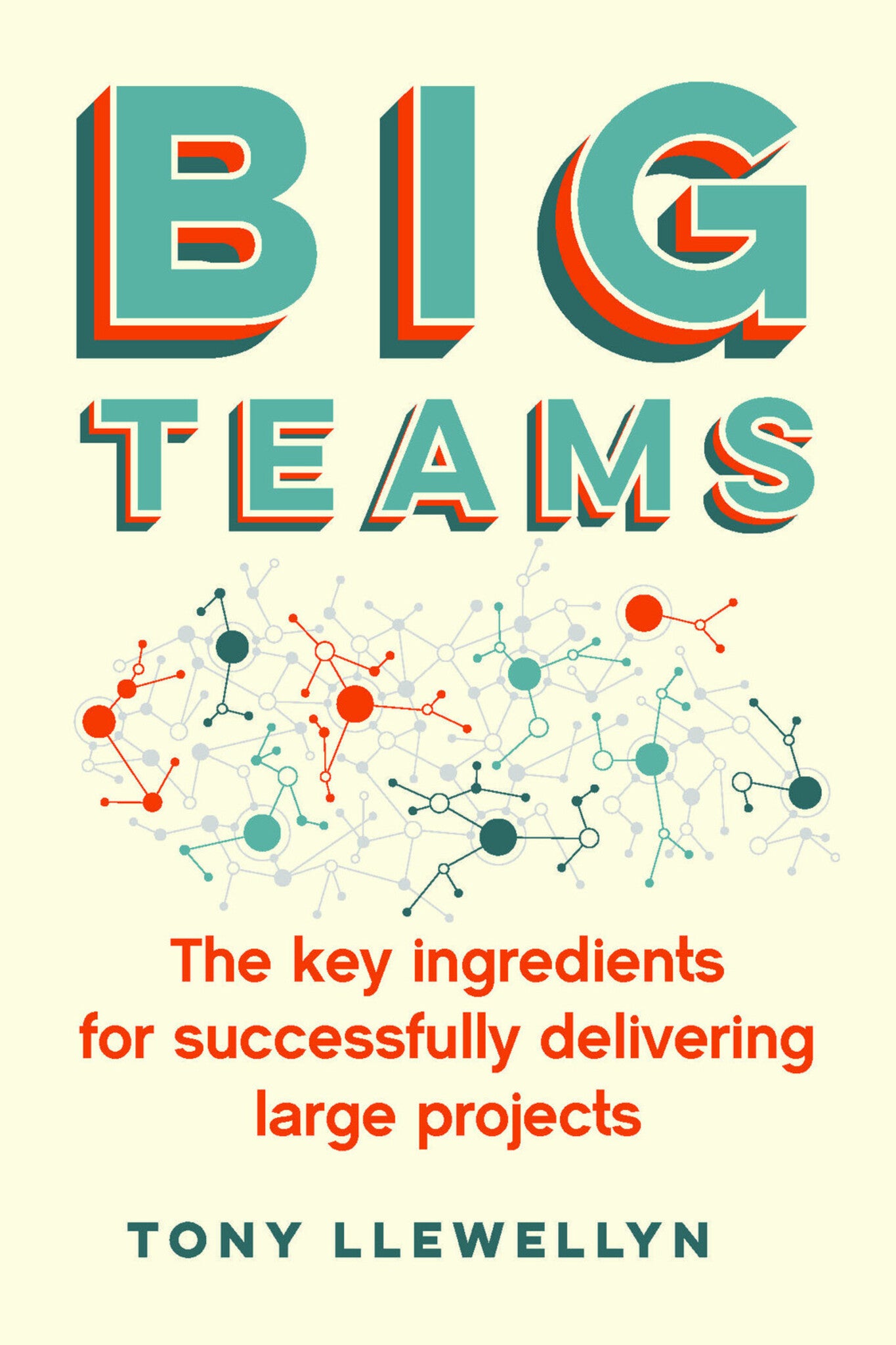 Cover image for Big Teams ISBN 9781788601047