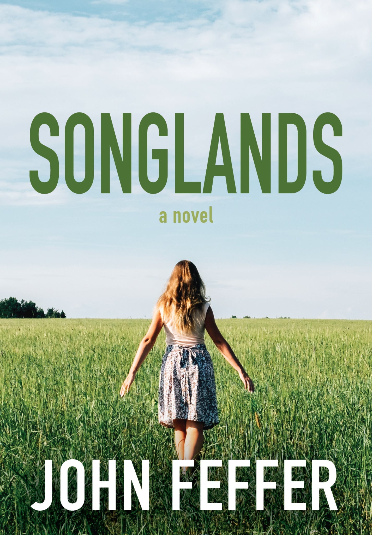 Cover image for Songlands ISBN 9781642595062