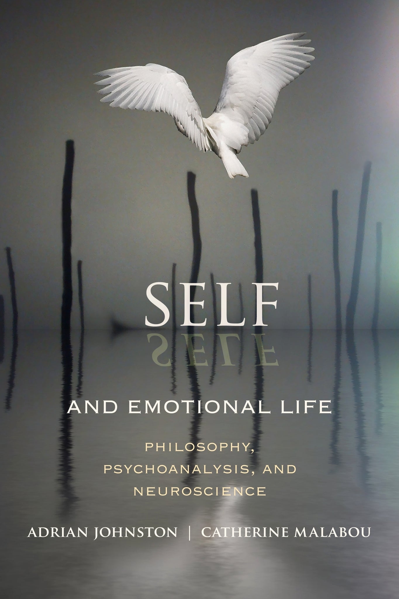 Cover image for Self and Emotional Life ISBN 9780231158305