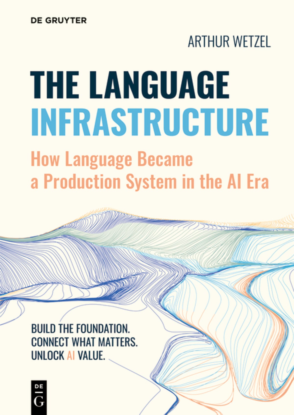 Cover image for The Language Infrastructure ISBN