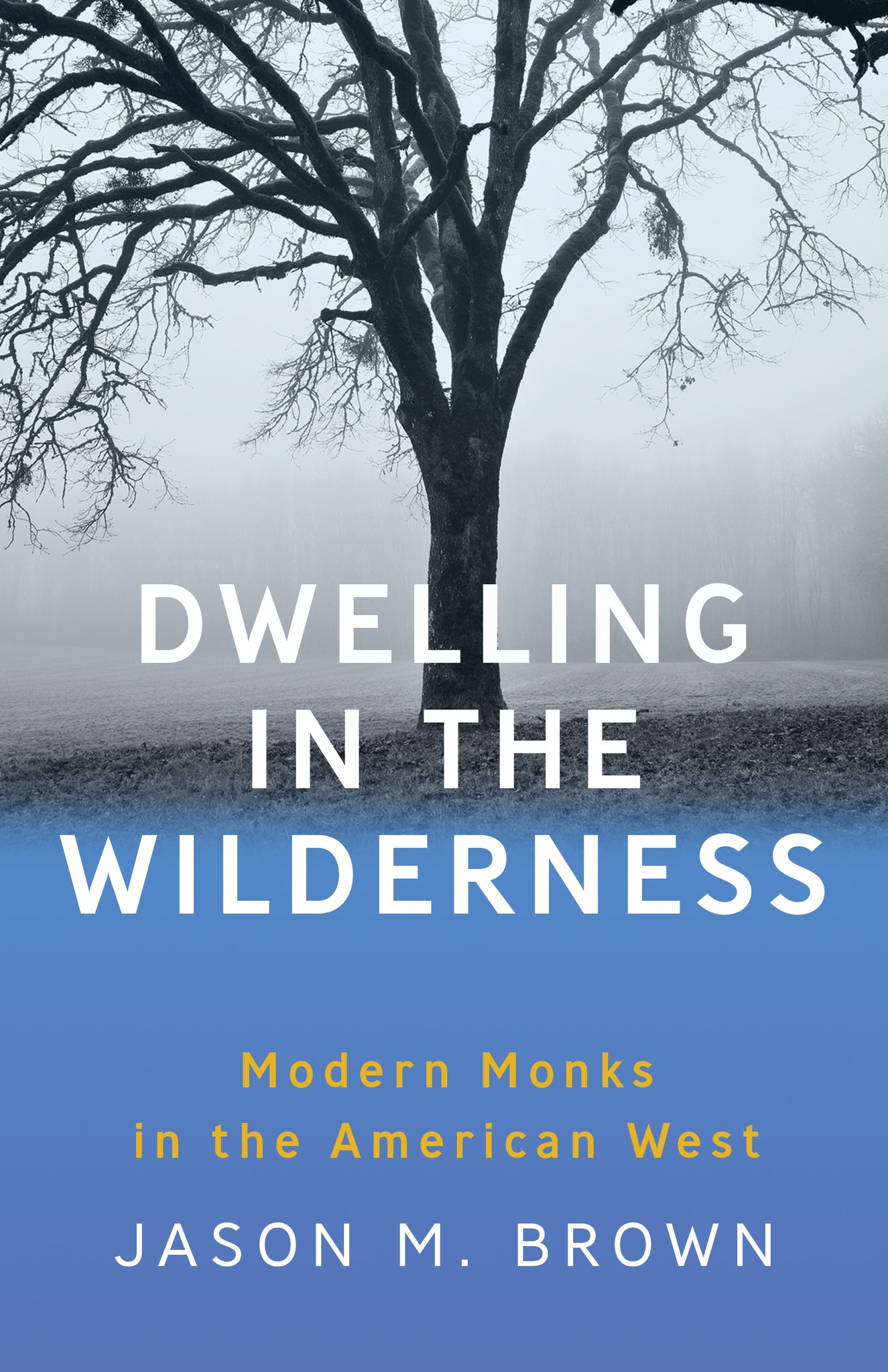 Cover image for Dwelling in the Wilderness ISBN 9781595349798