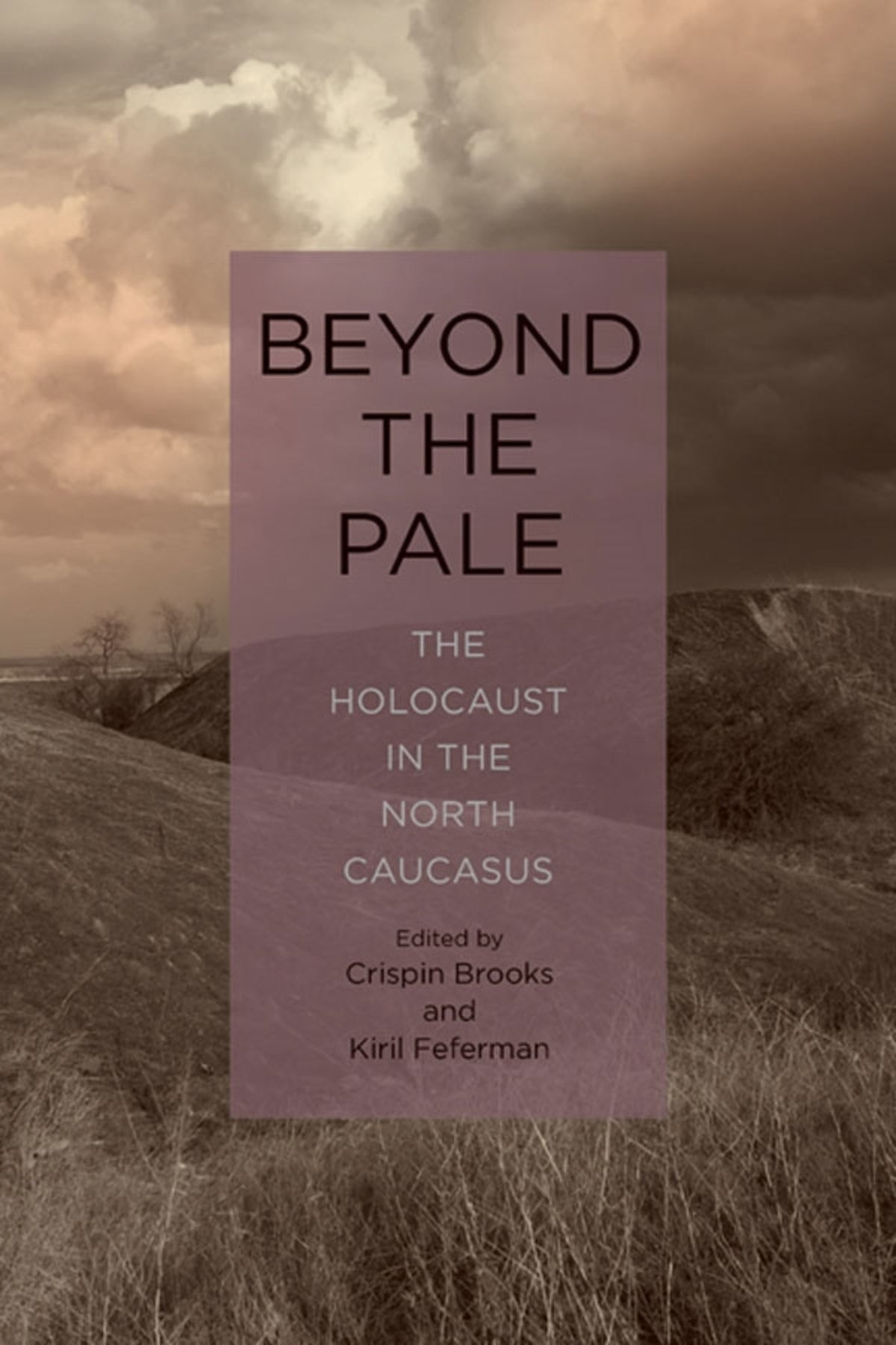 Cover image for Beyond the Pale ISBN 9781648250033