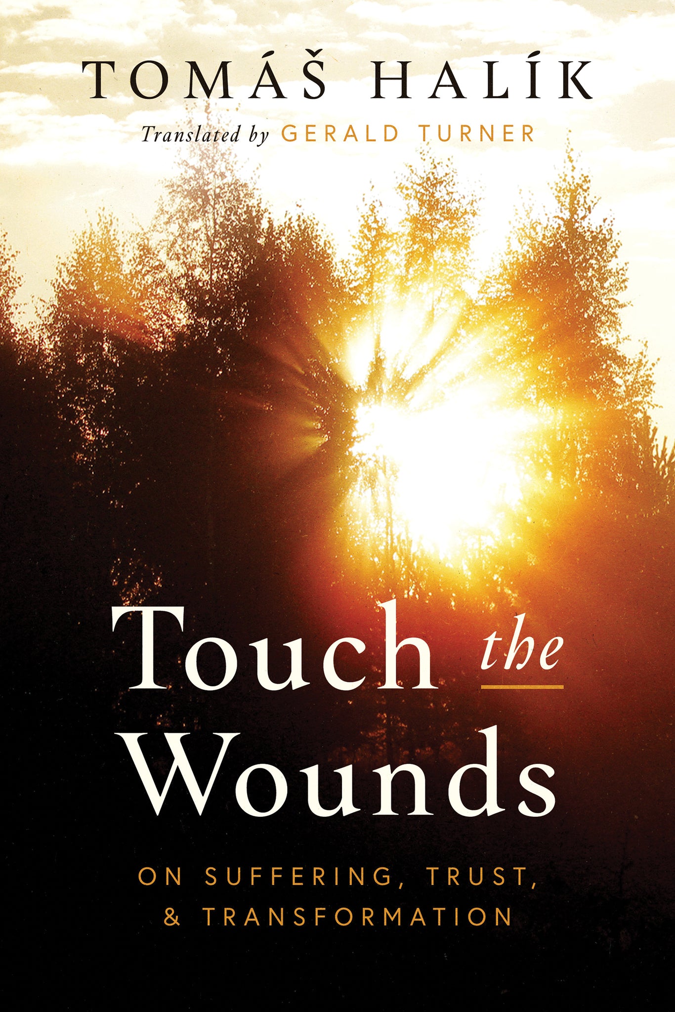 Cover image for Touch the Wounds ISBN 9780268204914