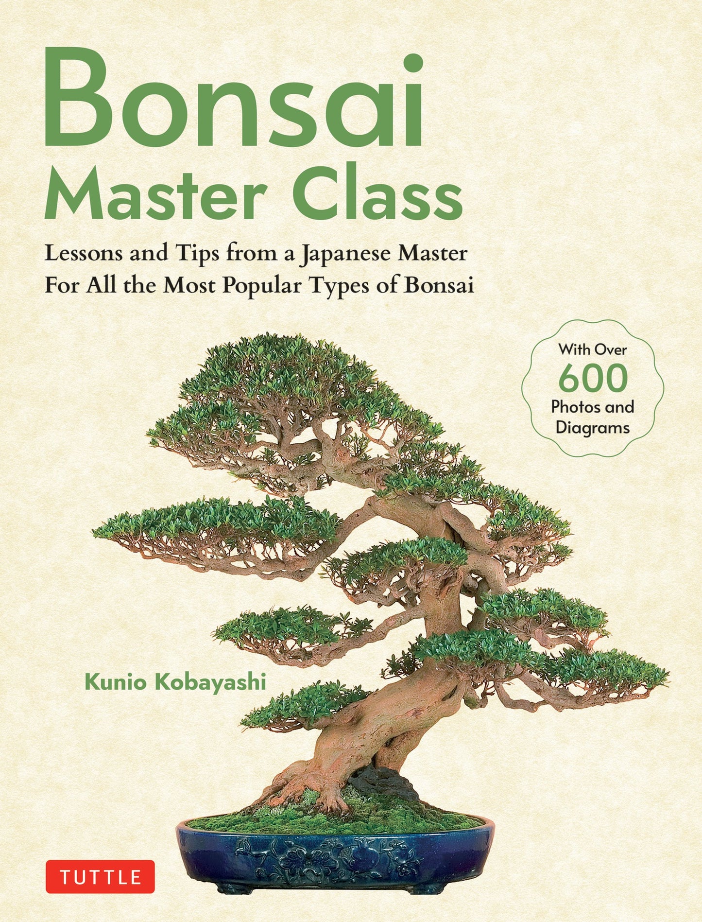 Cover image for Bonsai Master Class ISBN 9784805317433
