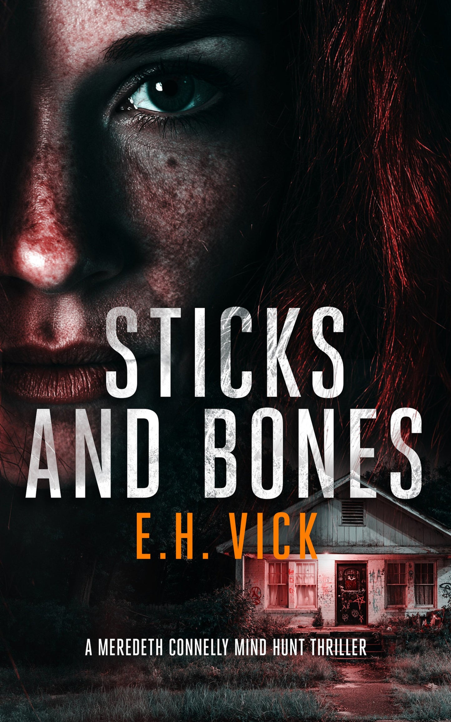Cover image for Sticks and Bones ISBN 9781036706296