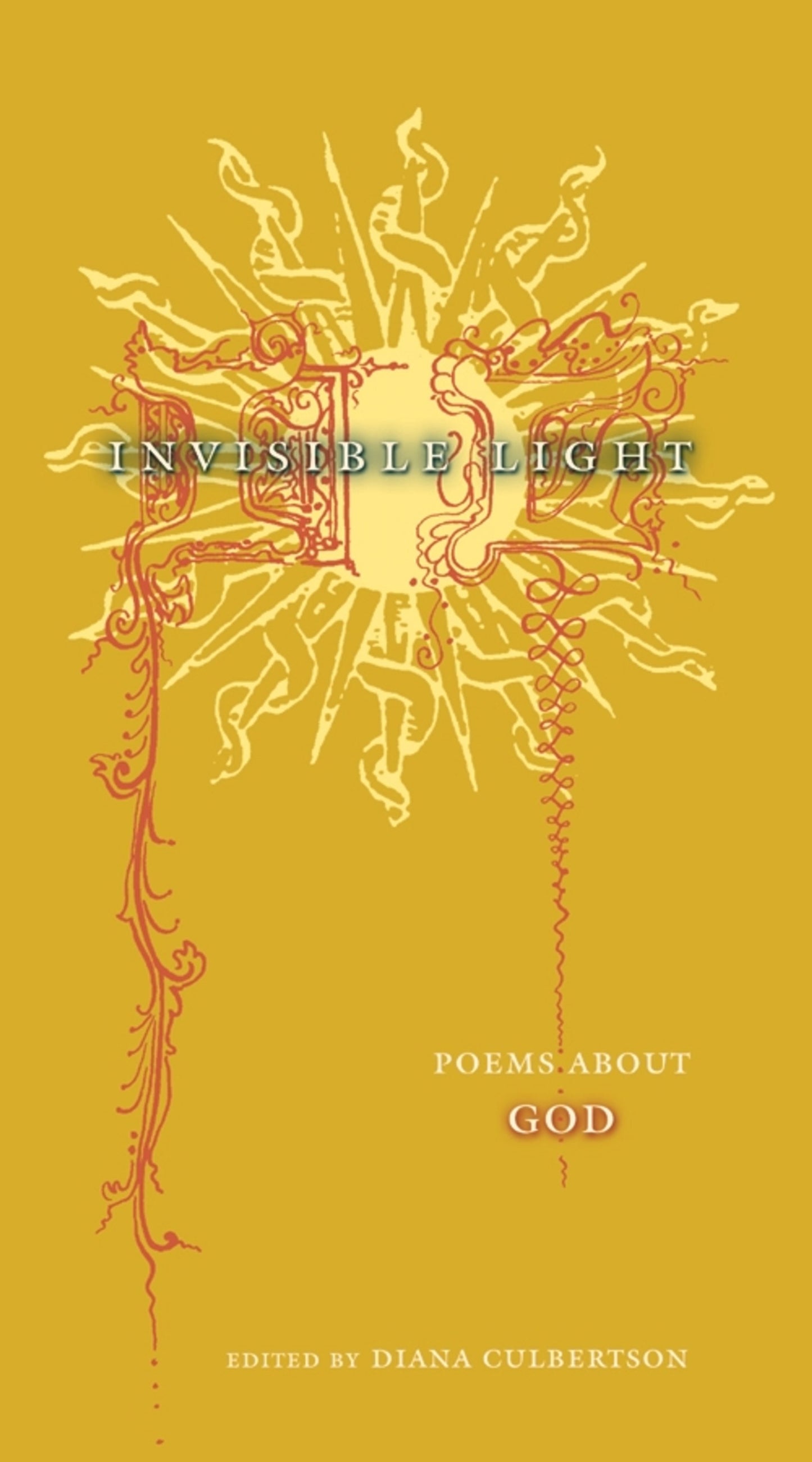Cover image for Invisible Light ISBN 9780231225984