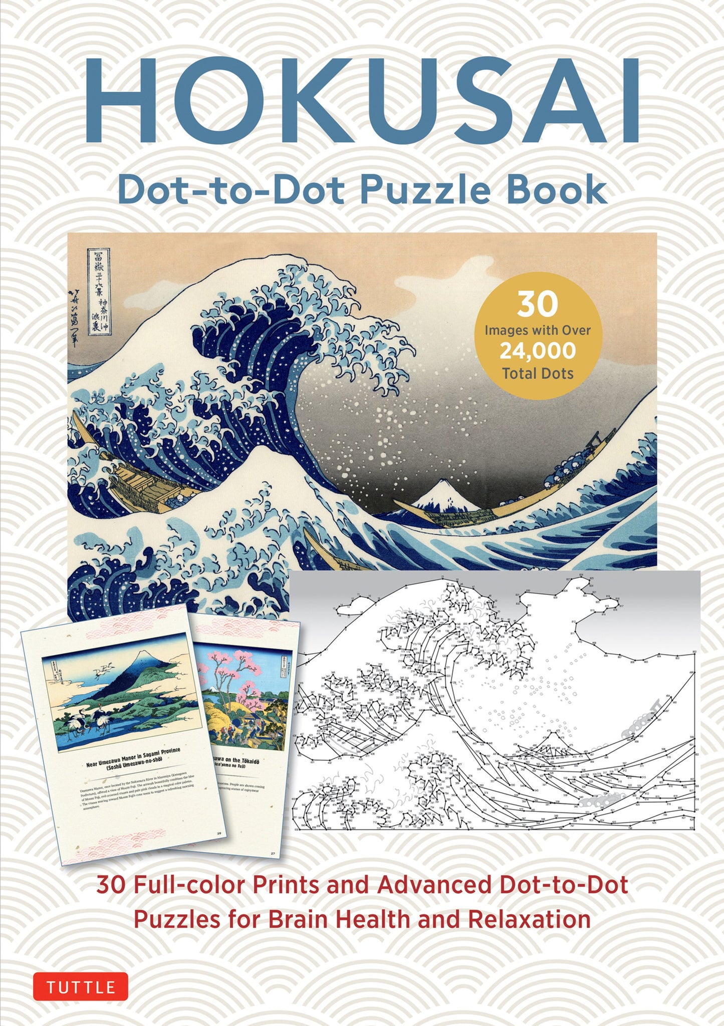Cover image for Hokusai Dot-to-Dot Puzzle Book ISBN 9784805319864