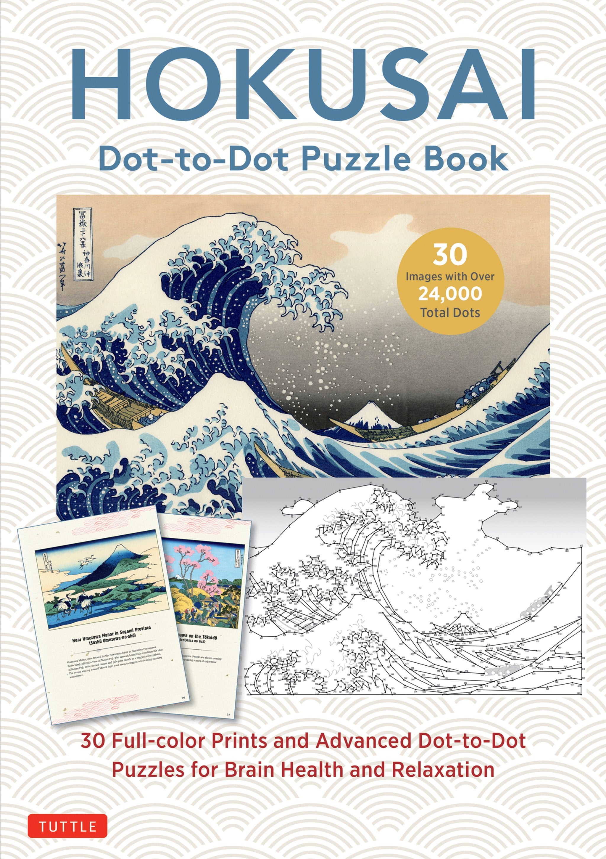 Cover image for Hokusai Dot-to-Dot Puzzle Book ISBN 9784805319864
