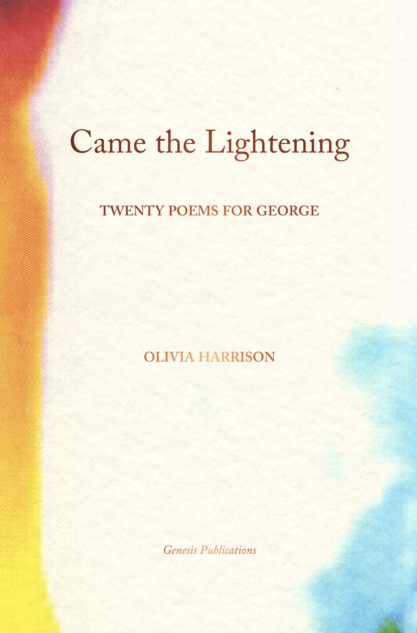 Cover image for Came the Lightening ISBN 9781905662739