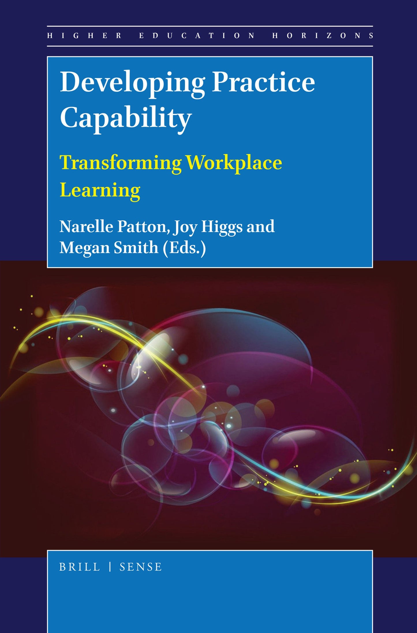 Cover image for Developing Practice Capability ISBN 9789004366916