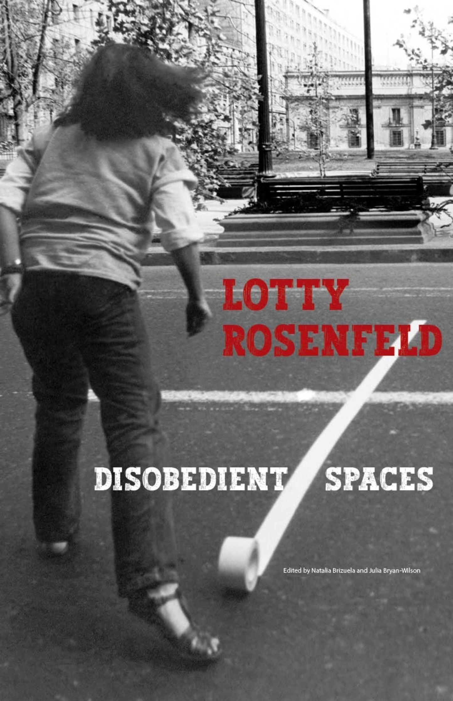 Cover image for Lotty Rosenfeld ISBN 9781884919411