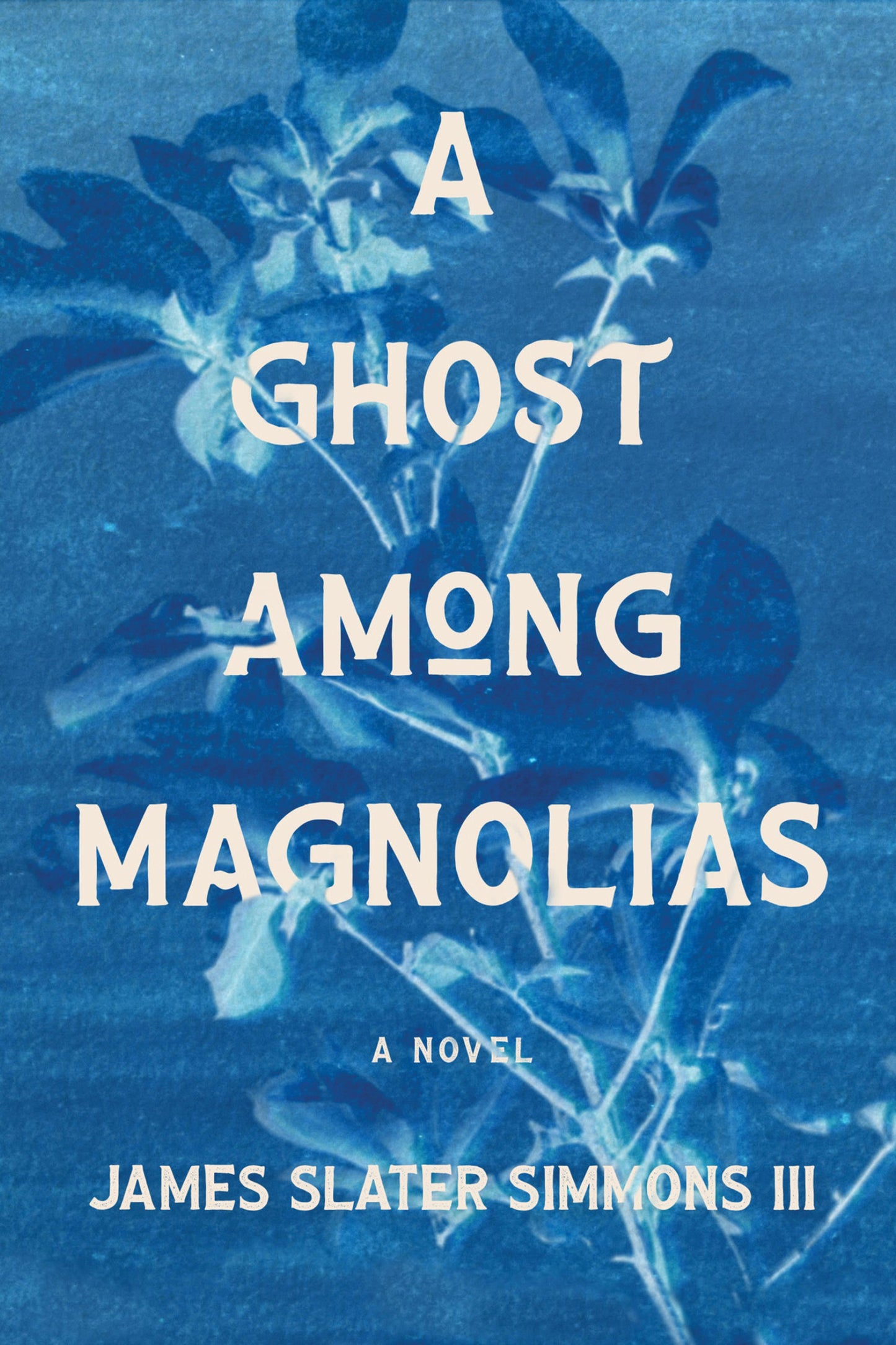 Cover image for A Ghost Among Magnolias ISBN 9781968039035