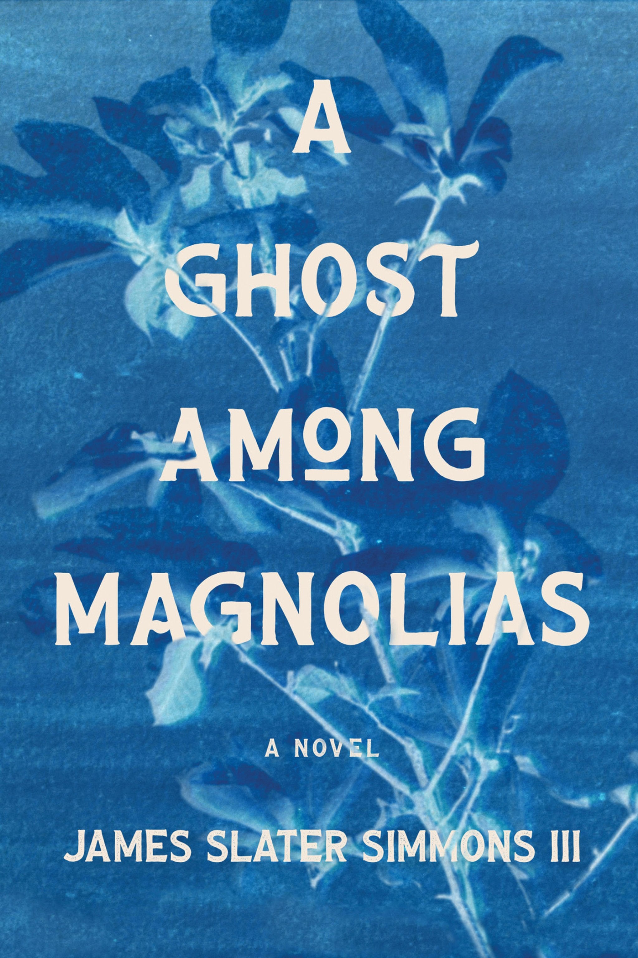 Cover image for A Ghost Among Magnolias ISBN 9781968039035