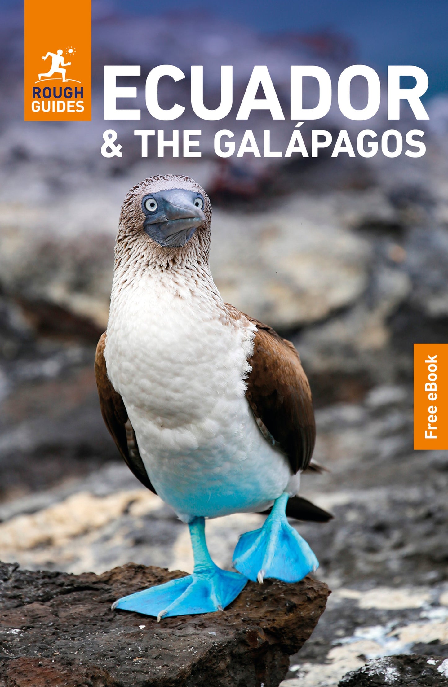 Cover image for Rough Guides Ecuador and the Galapagos: Travel Guide with eBook ISBN 9781835297056