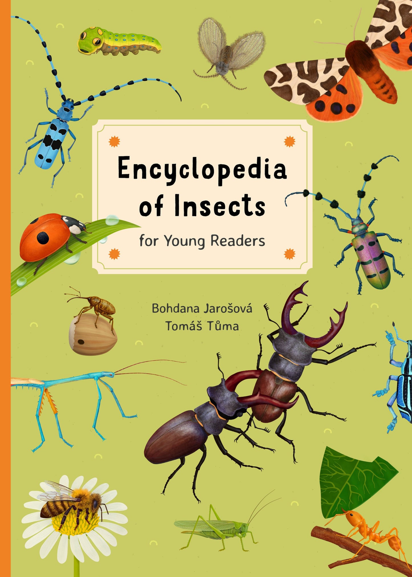 Cover image for Encyclopedia of Insects for Young Readers ISBN 9788000080697