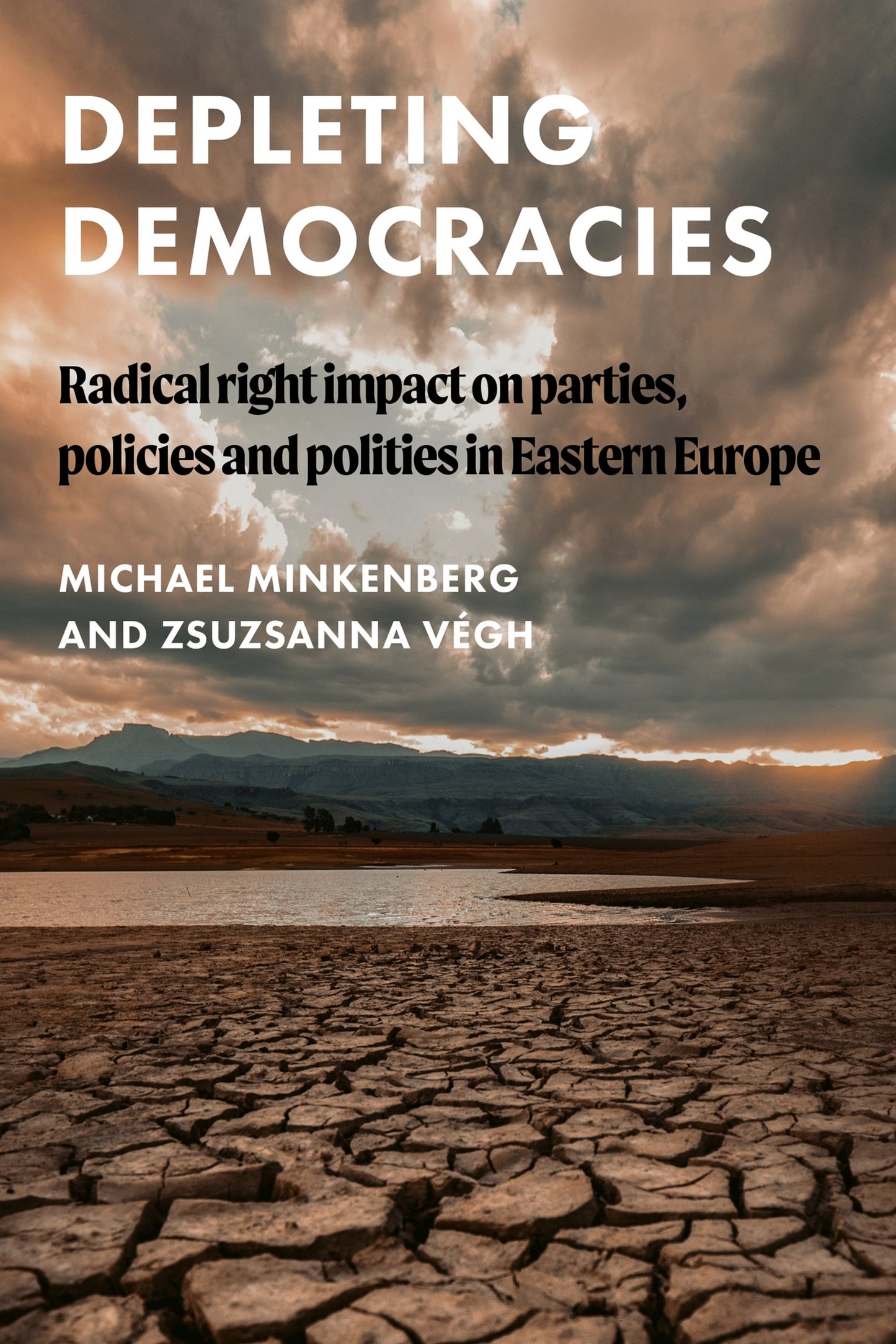 Cover image for Depleting democracies ISBN 9781807070175