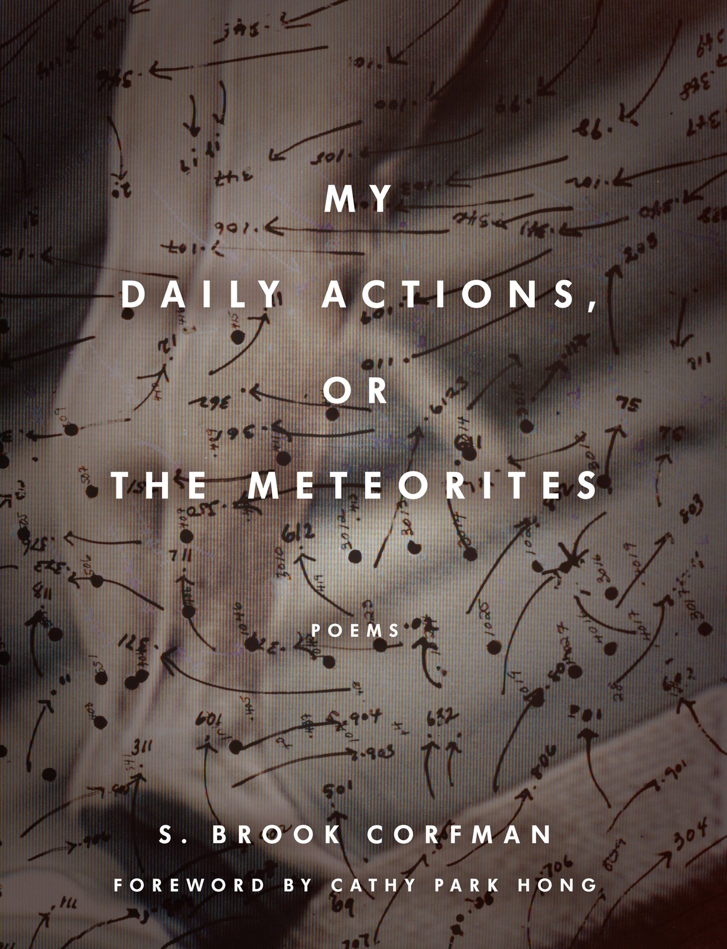 Cover image for My Daily Actions, or The Meteorites ISBN 9780823289493