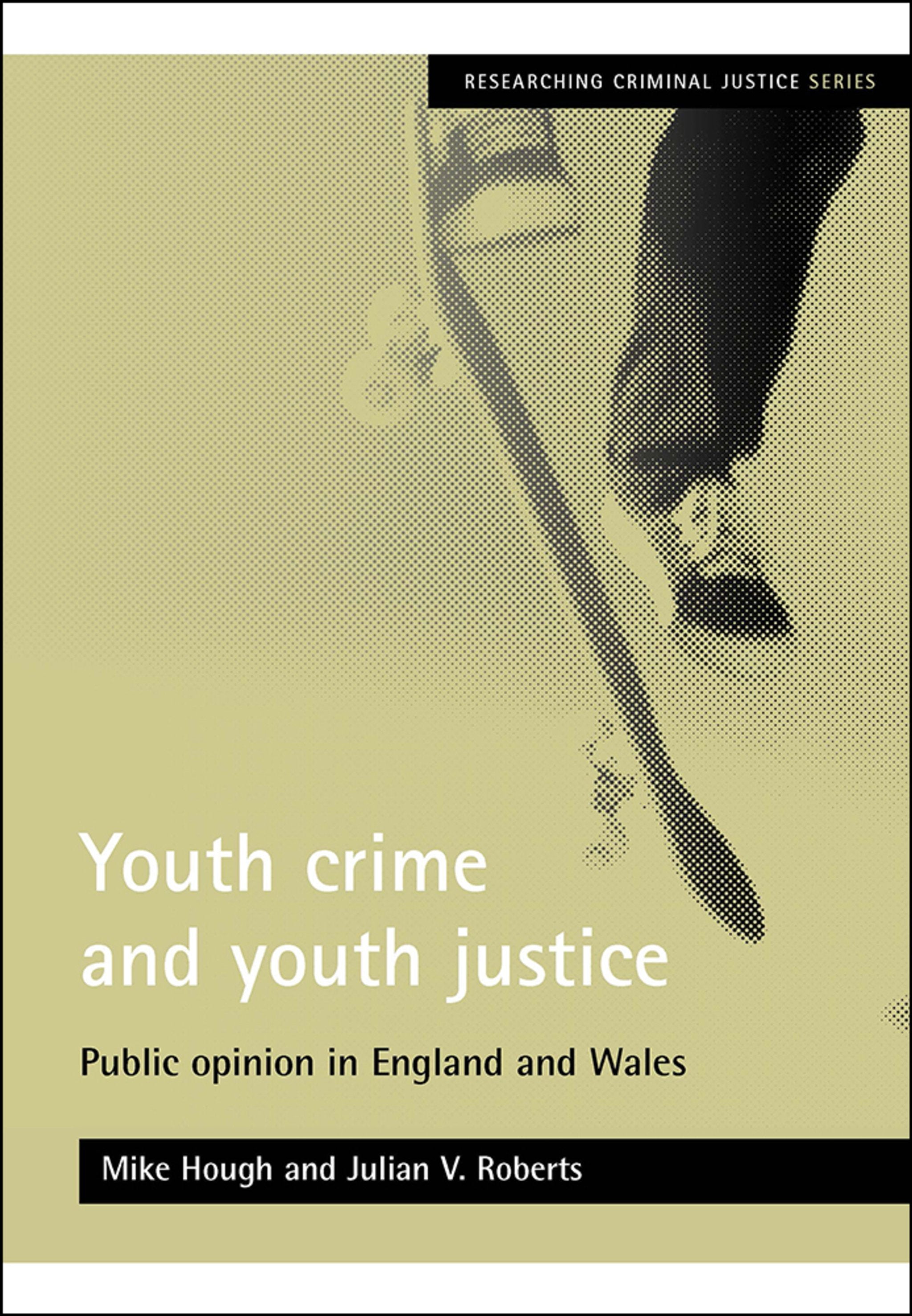 Cover image for Youth crime and youth justice ISBN 9781861346490