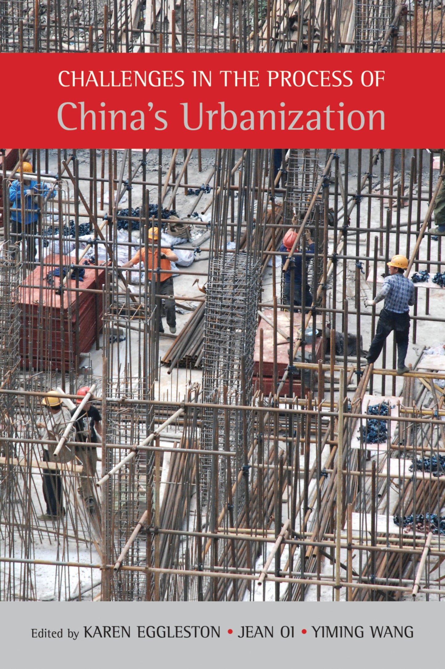 Cover image for Challenges in the Process of China’s Urbanization ISBN 9781931368414