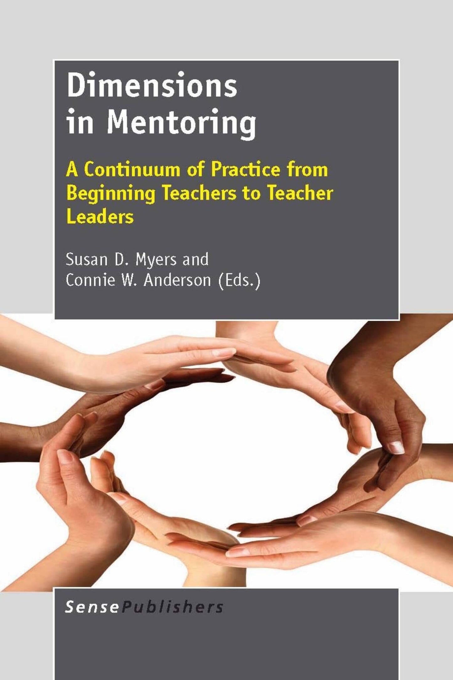 Cover image for Dimensions in Mentoring ISBN 9789460918681