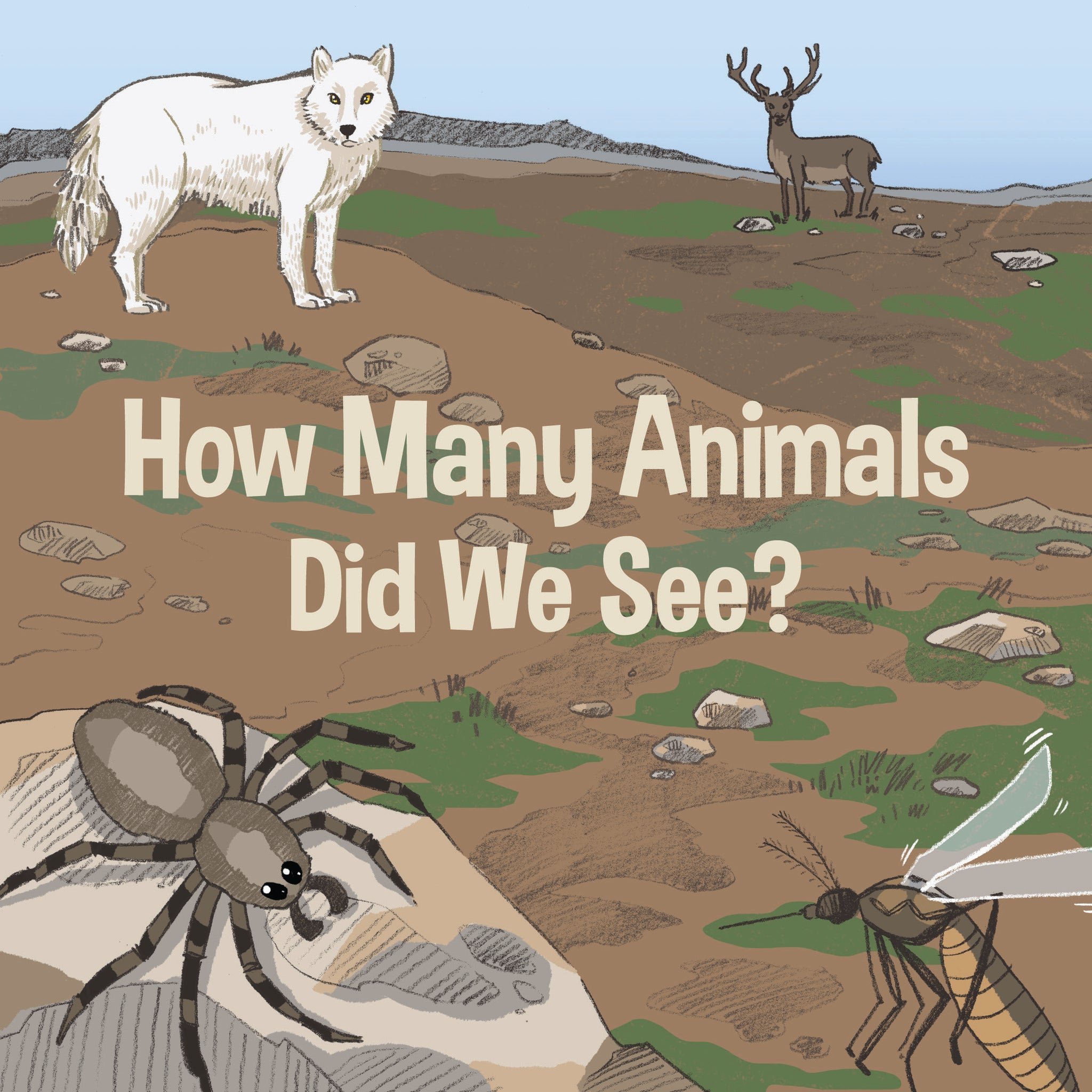 Cover image for How Many Animals Did We See? ISBN 9780228702573