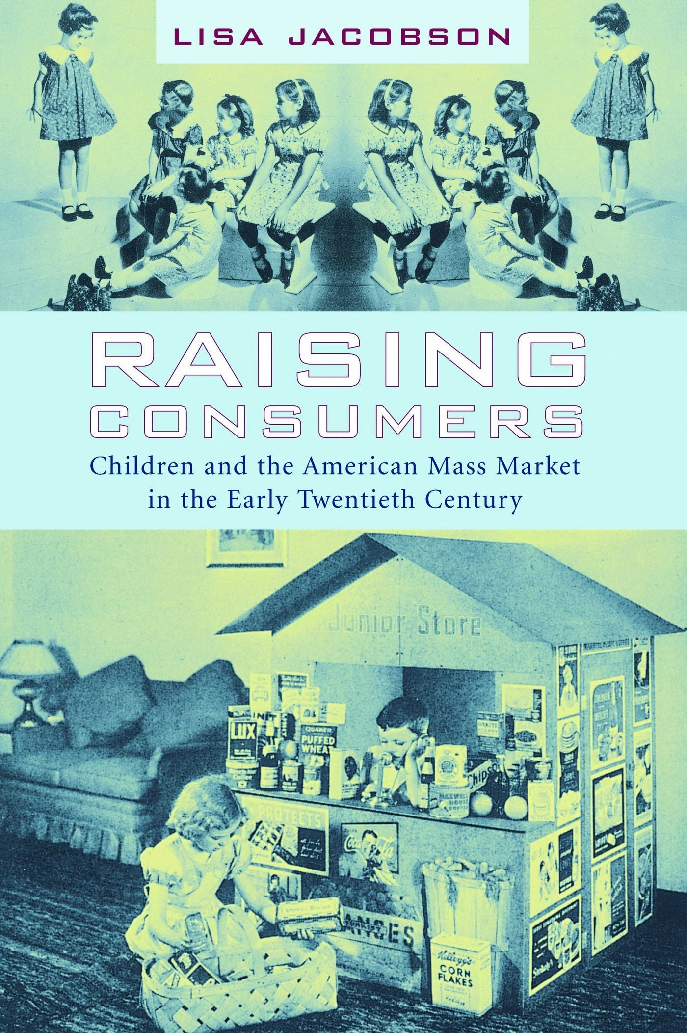 Book cover image for Raising Consumers ISBN: 9780231113885