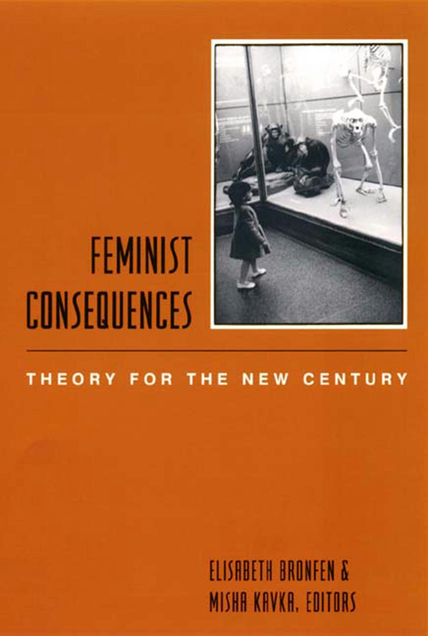 Book cover image for Feminist Consequences ISBN: 9780231117050