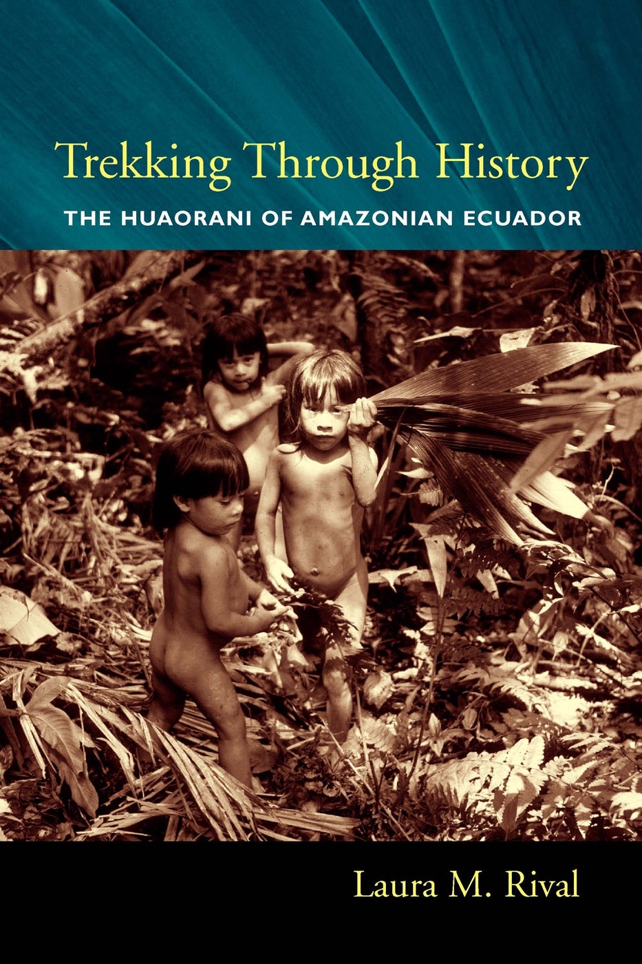 Book cover image for Trekking Through History ISBN: 9780231118446