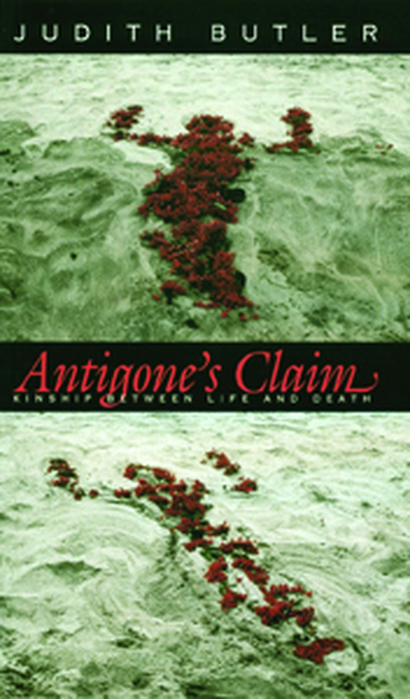 Book cover image for Antigone's Claim ISBN: 9780231118958