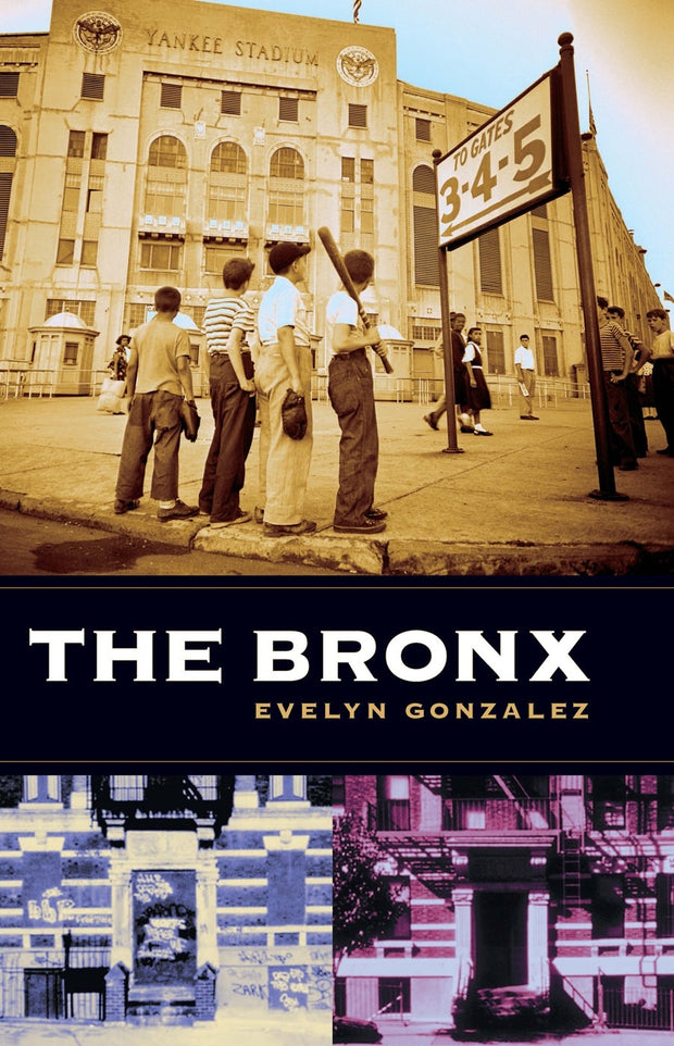 Cover image for The Bronx, isbn: 9780231121156