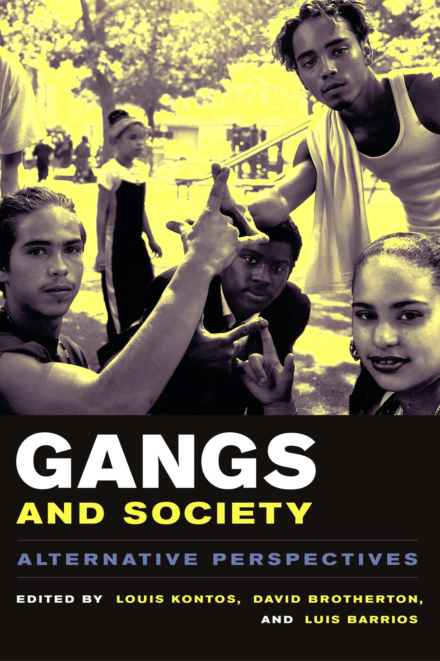 Book cover image for Gangs and Society ISBN: 9780231121408